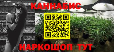 молекула духа Камышлов