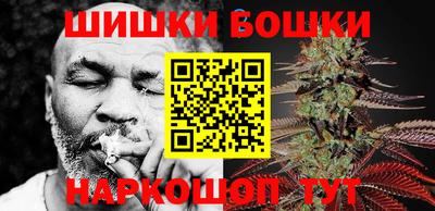 молекула духа Камышлов