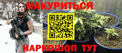 молекула духа Камышлов