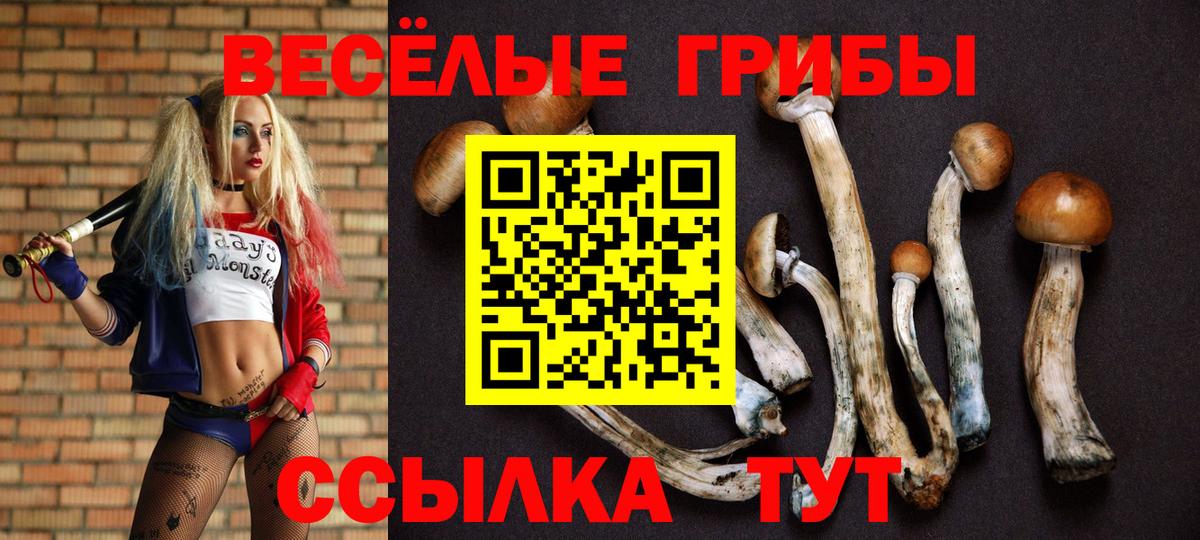 Галлюциногенные грибы мухоморы  Вход с VPN  Ялуторовск  купить наркотики цена  Галлюциногенные грибы Cubensis 